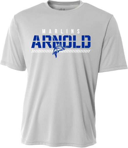 Youth Arnold Fade Dry Fit Tee - Silver